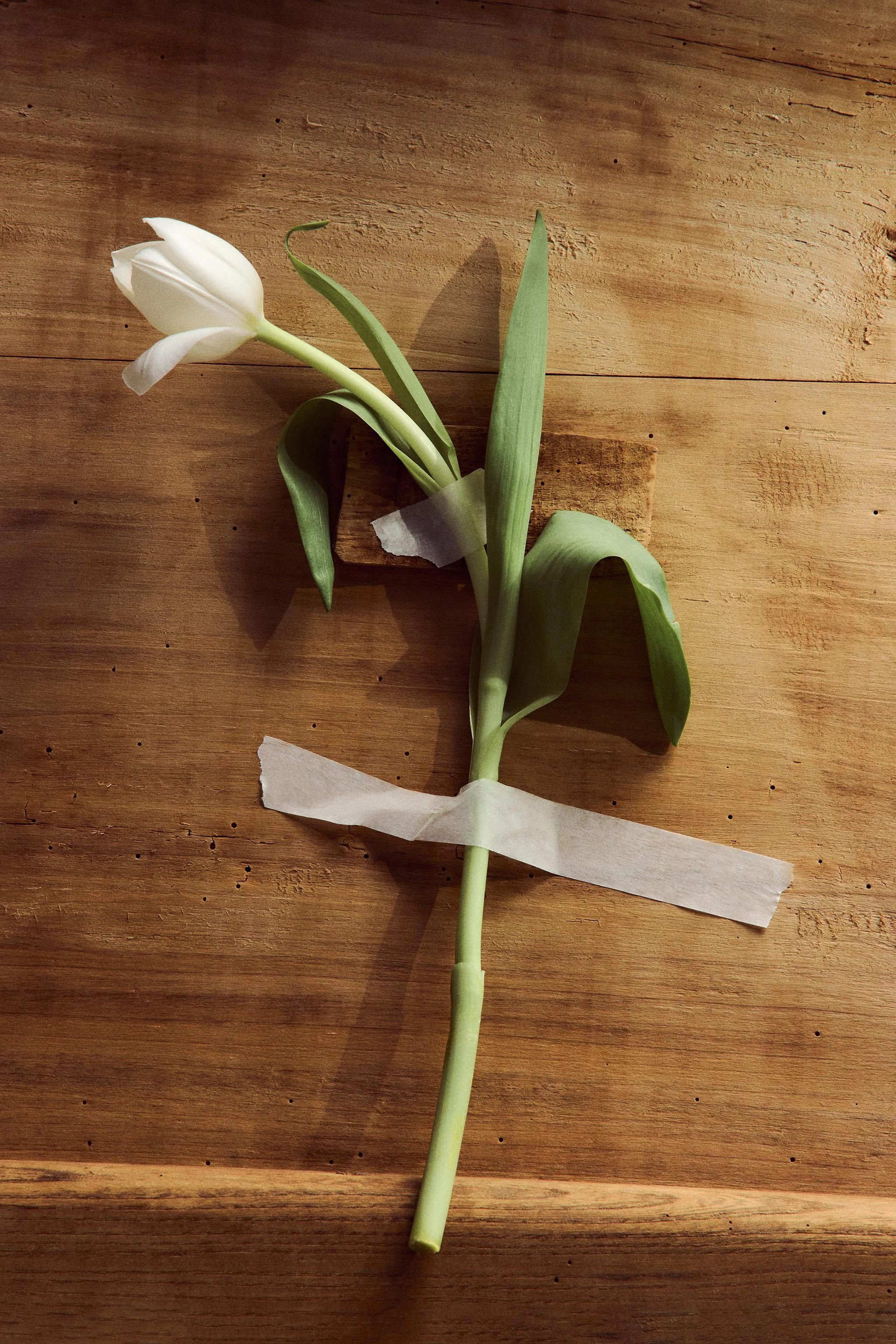 Парфюмерная вода FLEUR DE PATCHOULI, 100 мл — Цвет не указан — фото 2