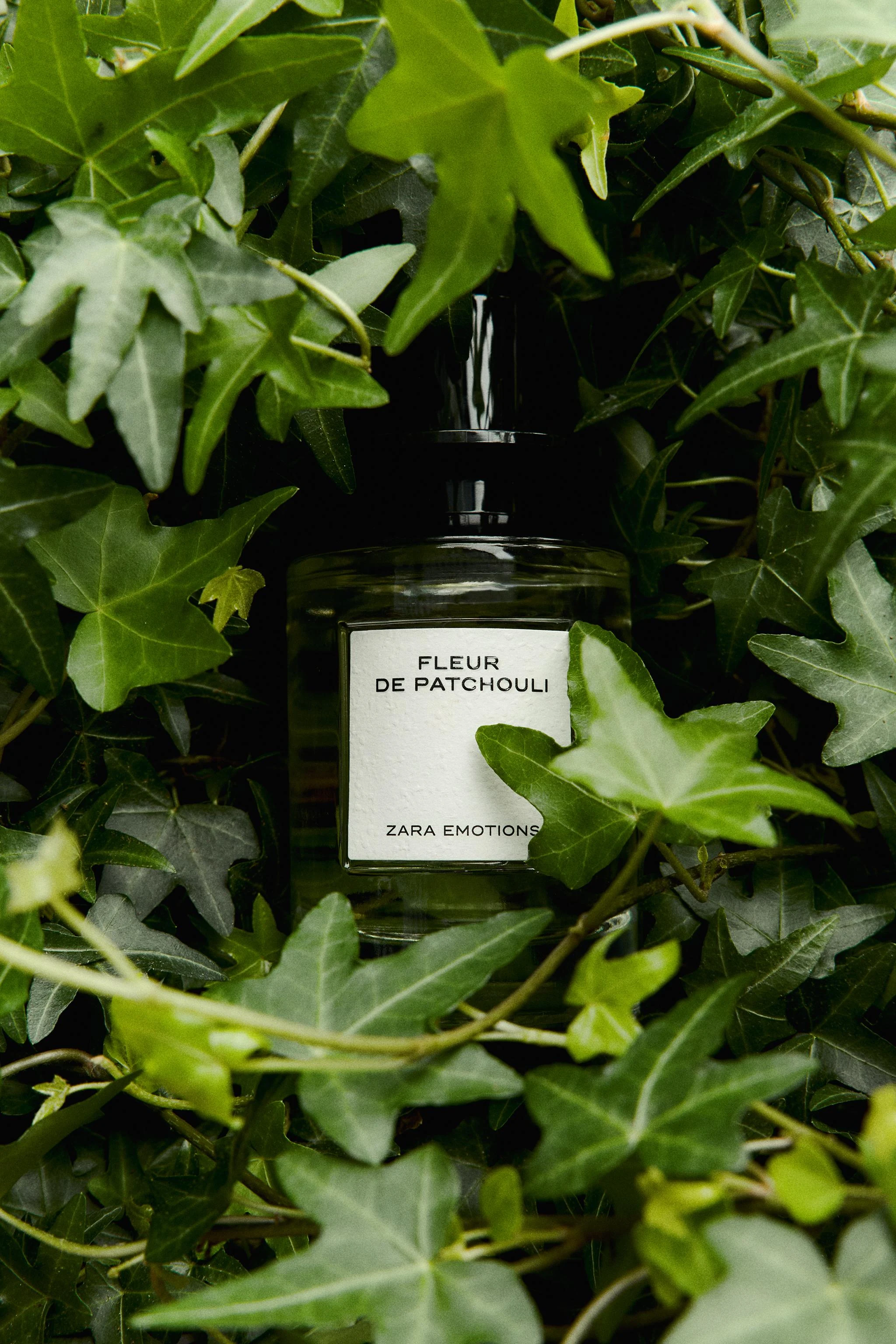 Парфюмерная вода FLEUR DE PATCHOULI, 100 мл — Цвет не указан
