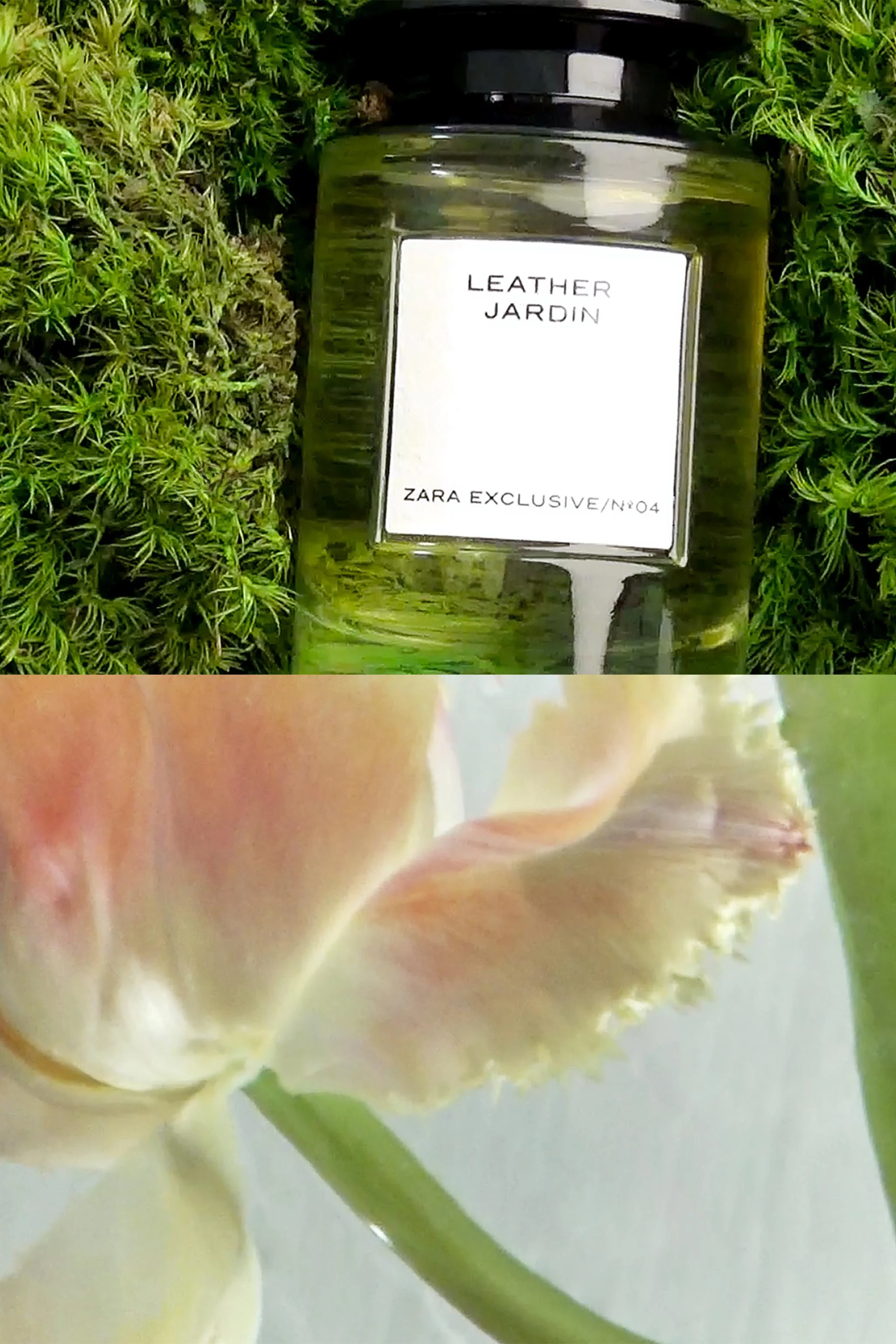 Парфюмерная вода LEATHER JARDIN, 100 мл — Цвет не указан — фото 4
