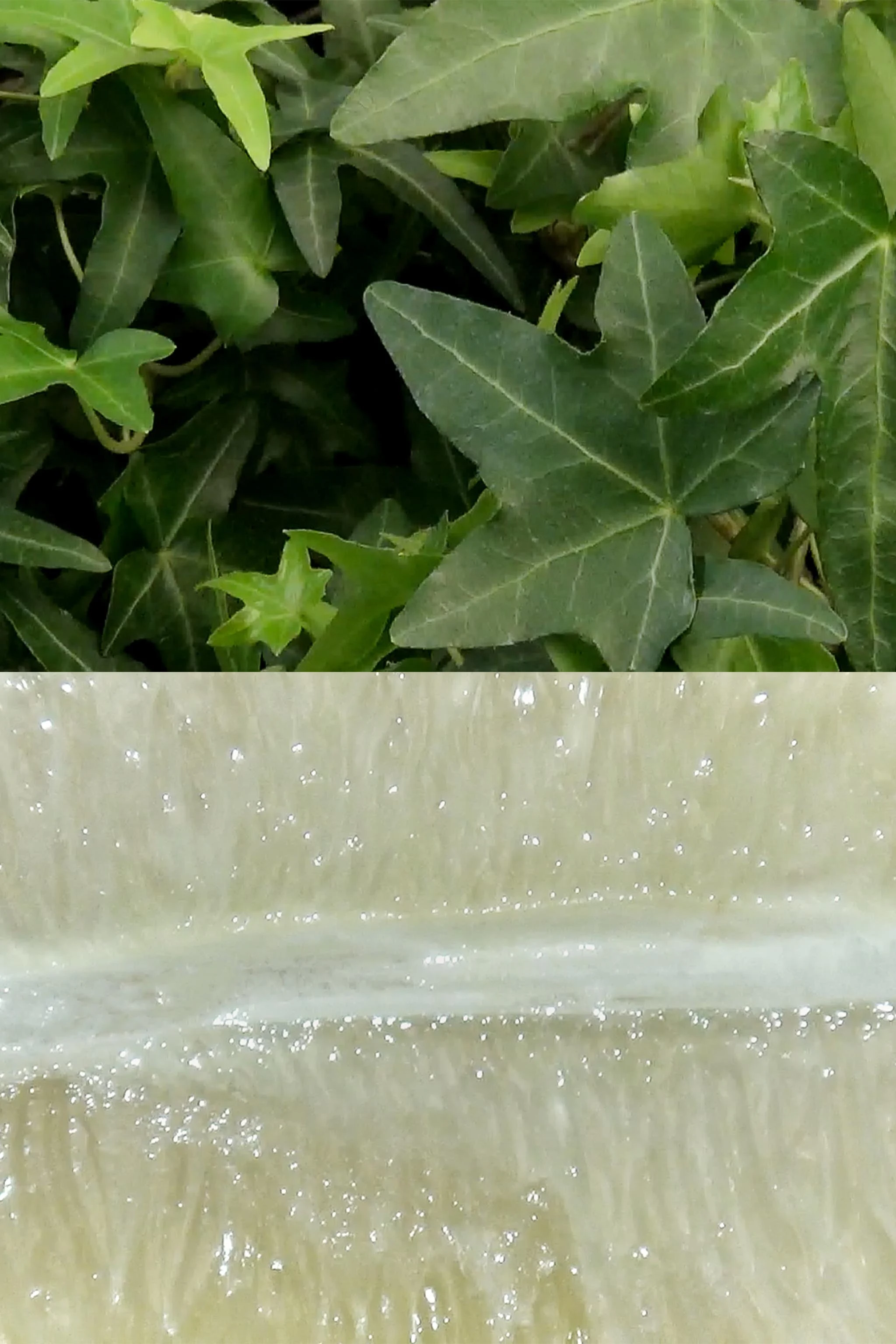 Парфюмерная вода FLEUR DE PATCHOULI, 100 мл — Цвет не указан — фото 3