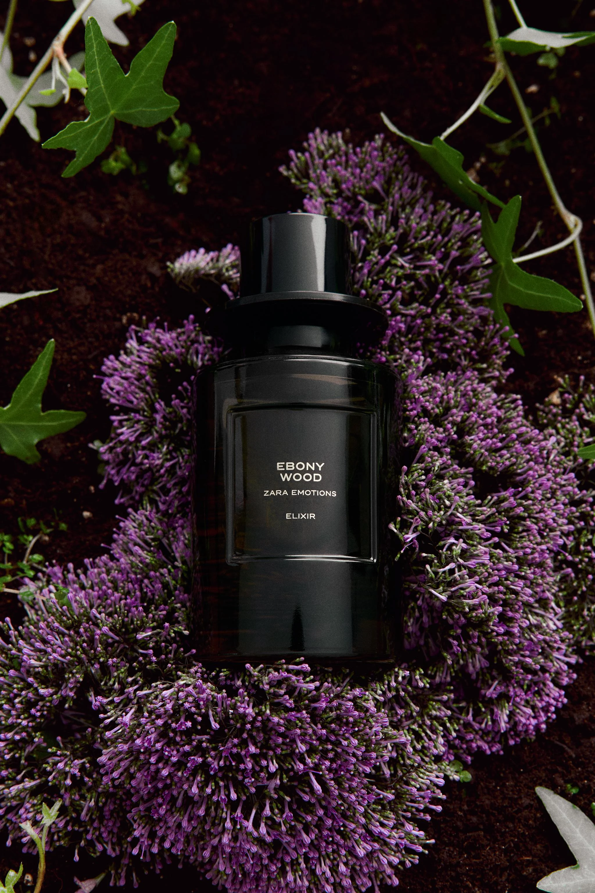 Духи EBONY WOOD ELIXIR, 100 мл — Цвет не указан