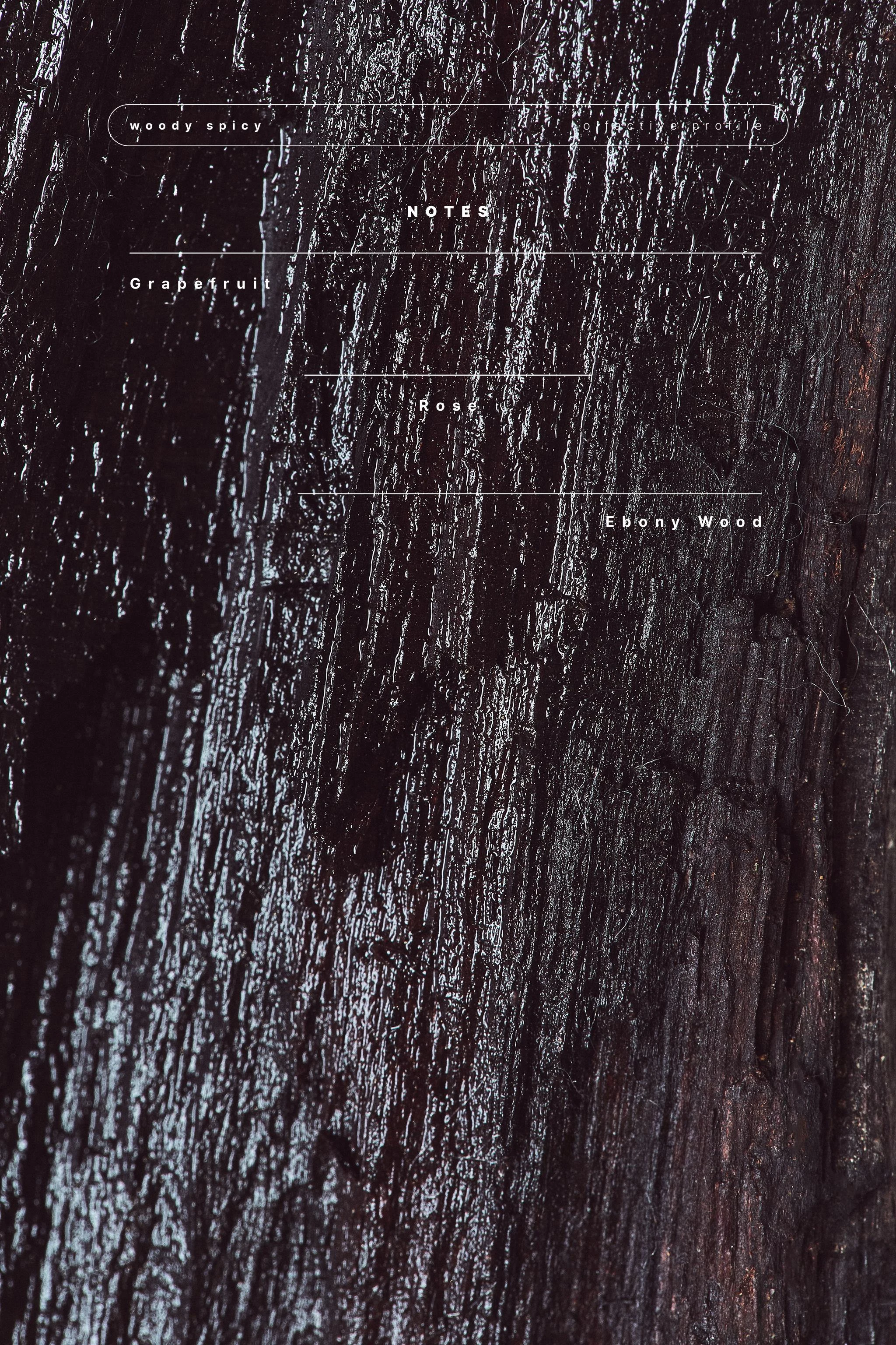Парфюмерная вода EBONY WOOD, 100 мл — Цвет не указан — фото 5
